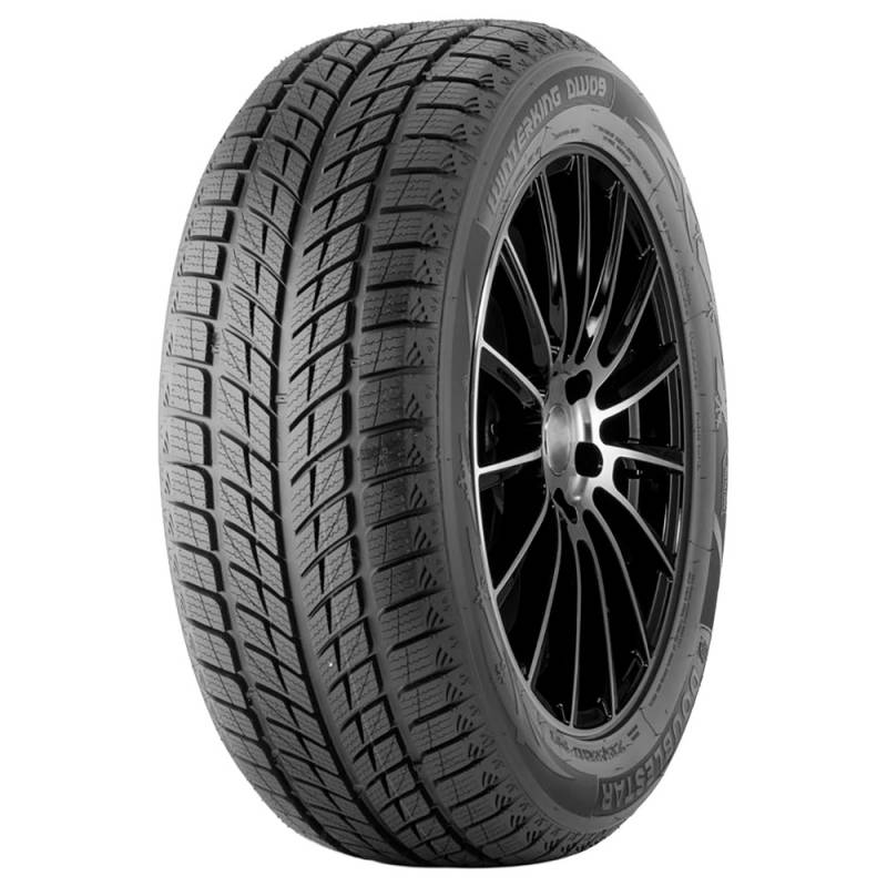 DoubleStar DW09 275/40 R20 106V