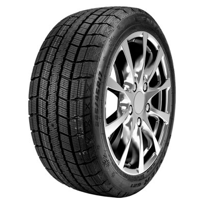 Centara Winter RX621 255/45 R19 100H